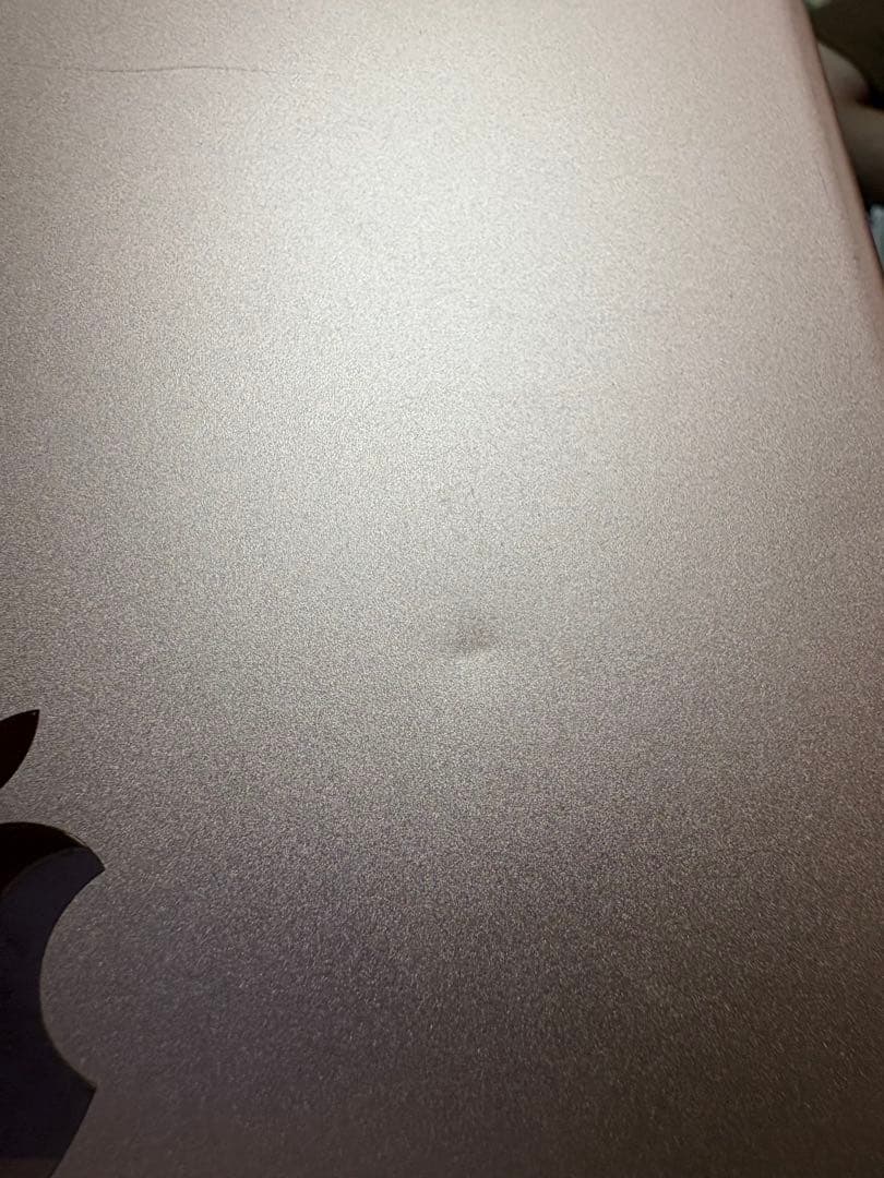 g*m様 iPad Pro 10.5インチ Wi-Fi+Cellular 256
