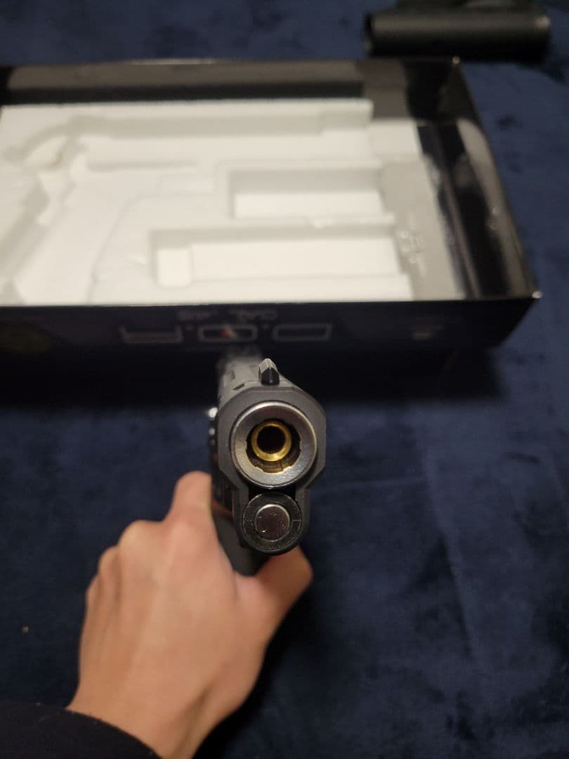 トイガン koukanahebi