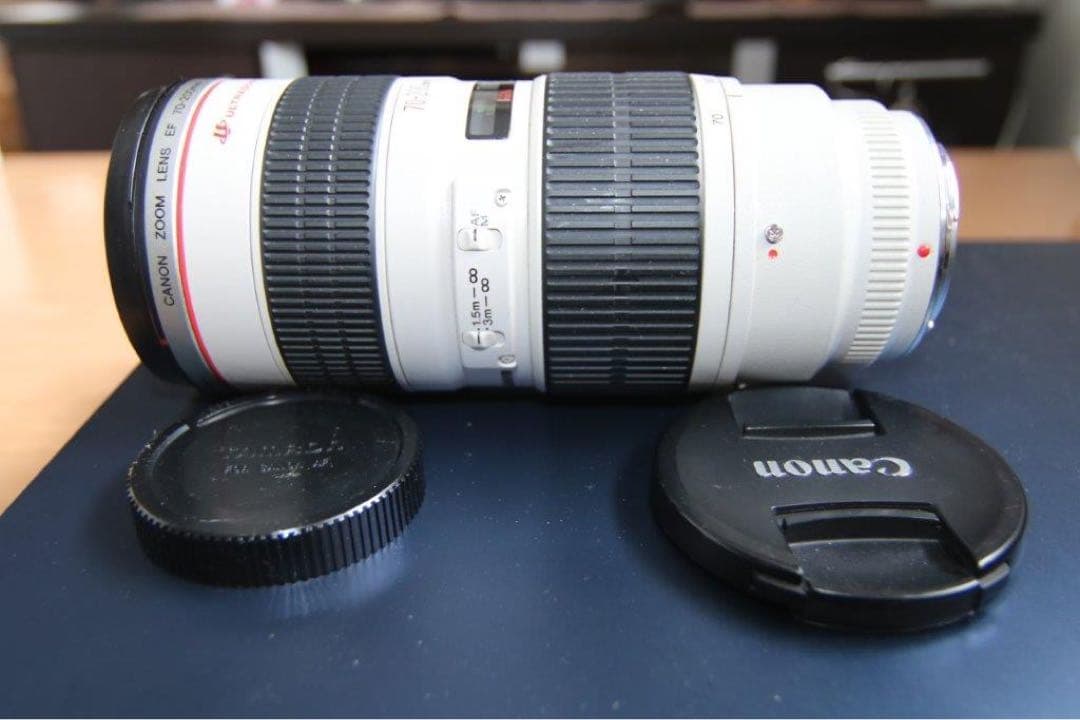 ★商品説明必読★ Canon EF 70-200mm f/2.8L USM