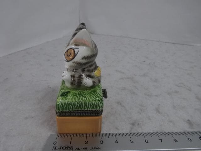 新品　トレジャーボックス　原っぱ　小物入れ　ぼく迷子　わちふぃーるど　ダヤン　猫