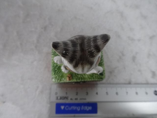 新品　トレジャーボックス　原っぱ　小物入れ　ぼく迷子　わちふぃーるど　ダヤン　猫