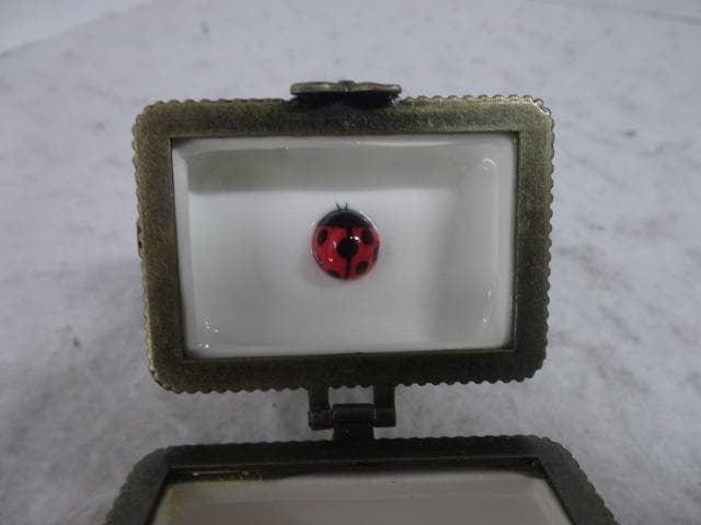 新品　トレジャーボックス　原っぱ　小物入れ　ぼく迷子　わちふぃーるど　ダヤン　猫