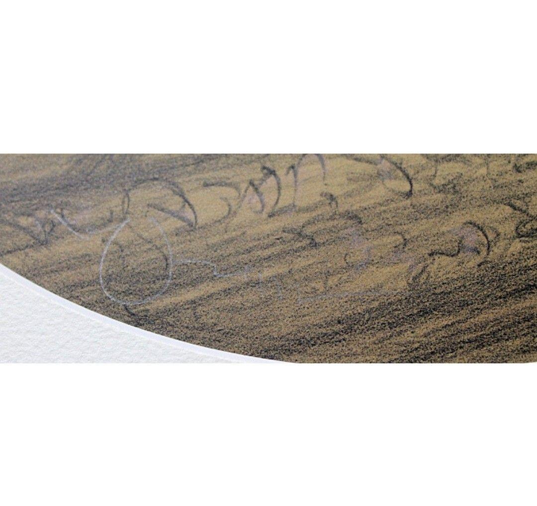 天野喜孝 MISTY SERIES アメジスト リトグラフ 直筆サイン FF