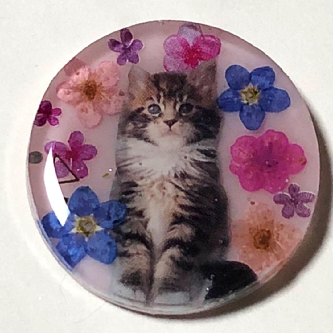 NO.119 おすまし猫ちゃん♡