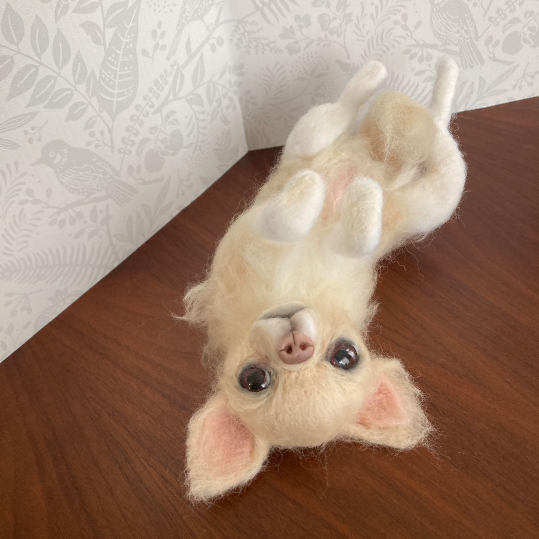 羊毛フェルト チワワ　クリーム　へそ天