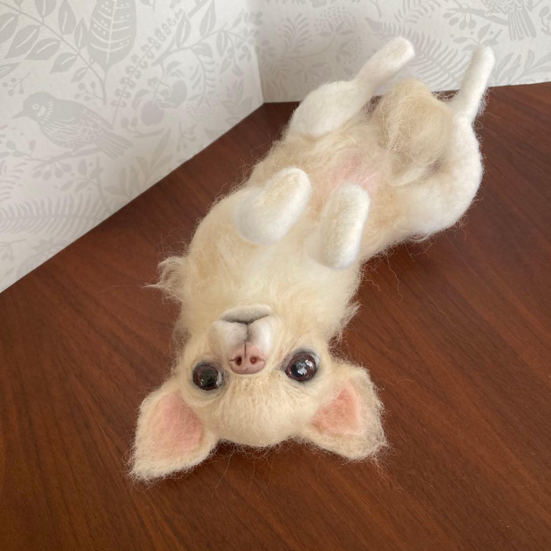 羊毛フェルト チワワ　クリーム　へそ天