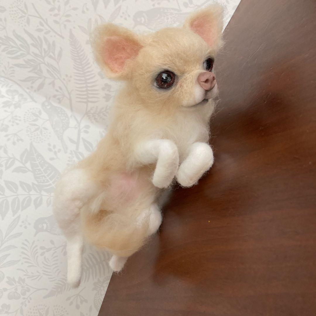 羊毛フェルト チワワ　クリーム　へそ天