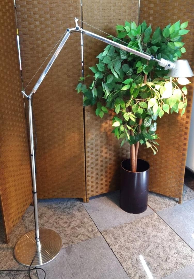 Artemide TOLOMEO TERRA S1349S スタンドライト