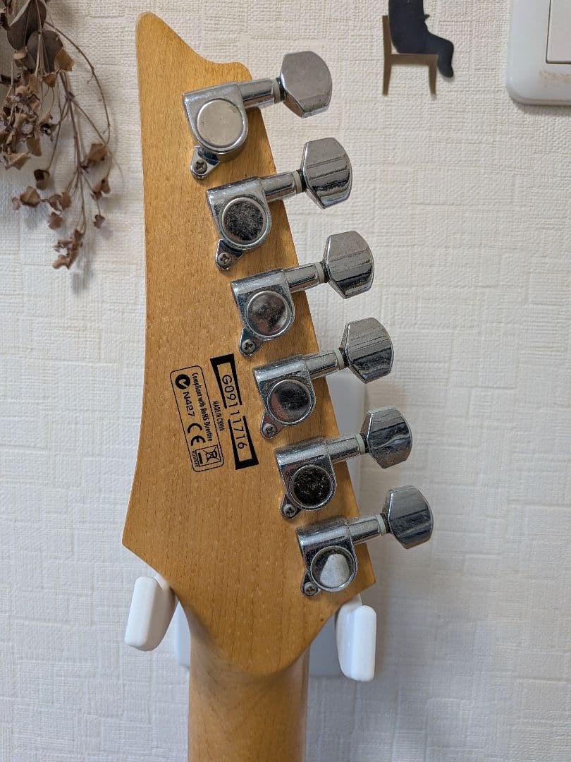 ギター Ibanez GIO