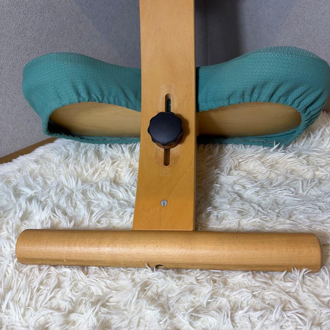 【極美品】リボ Rybo バランスイージー バランスラボ　balans カバー付