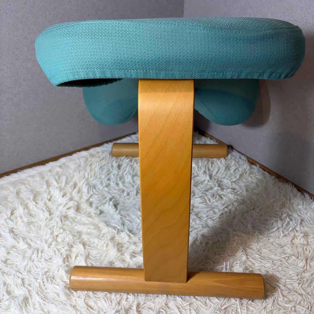 【極美品】リボ Rybo バランスイージー バランスラボ　balans カバー付