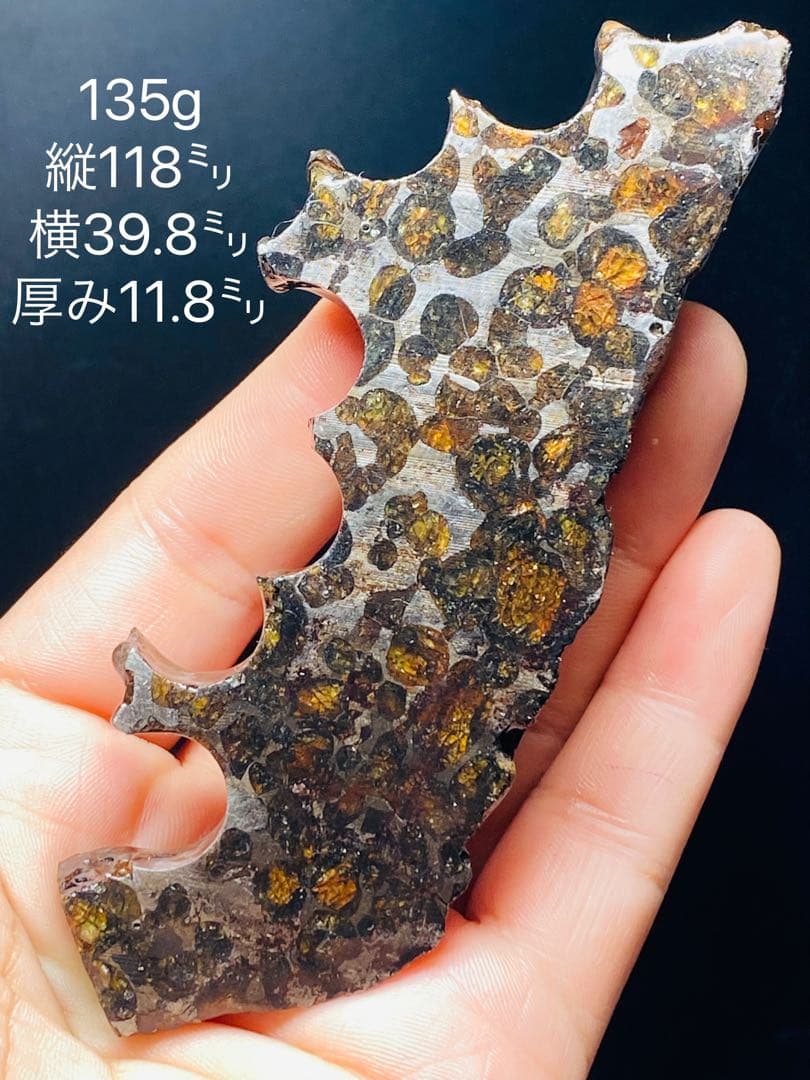 鑑別書付き パラサイト隕石 135g118㍉隕石 鉄隕石 隕石原石 セリコ隕石