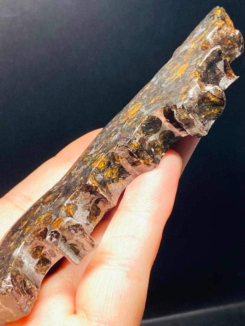 鑑別書付き パラサイト隕石 135g118㍉隕石 鉄隕石 隕石原石 セリコ隕石