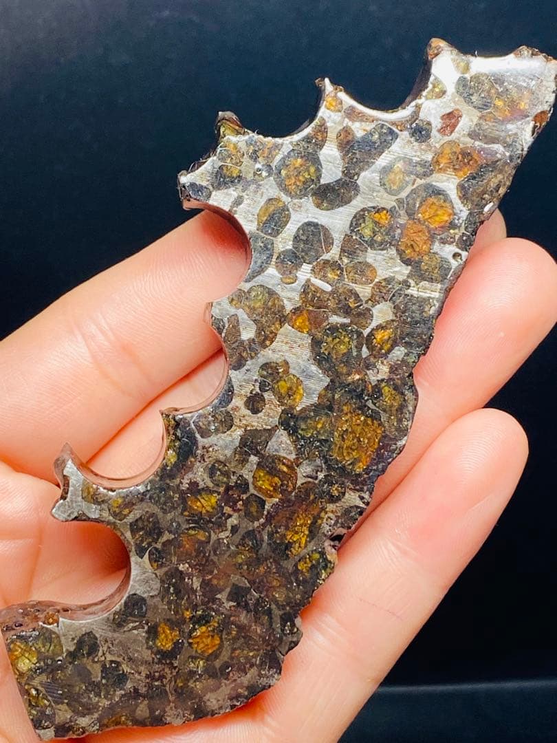 鑑別書付き パラサイト隕石 135g118㍉隕石 鉄隕石 隕石原石 セリコ隕石