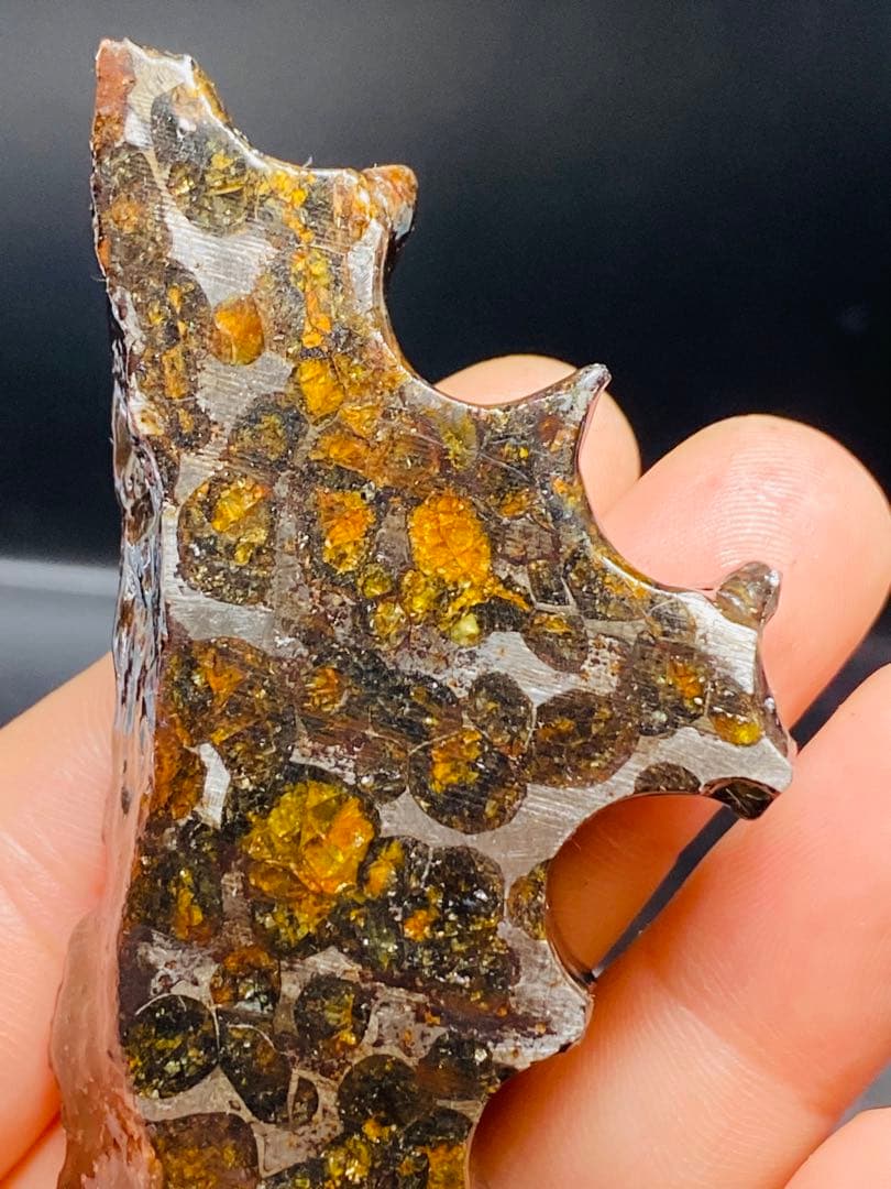 鑑別書付き パラサイト隕石 135g118㍉隕石 鉄隕石 隕石原石 セリコ隕石