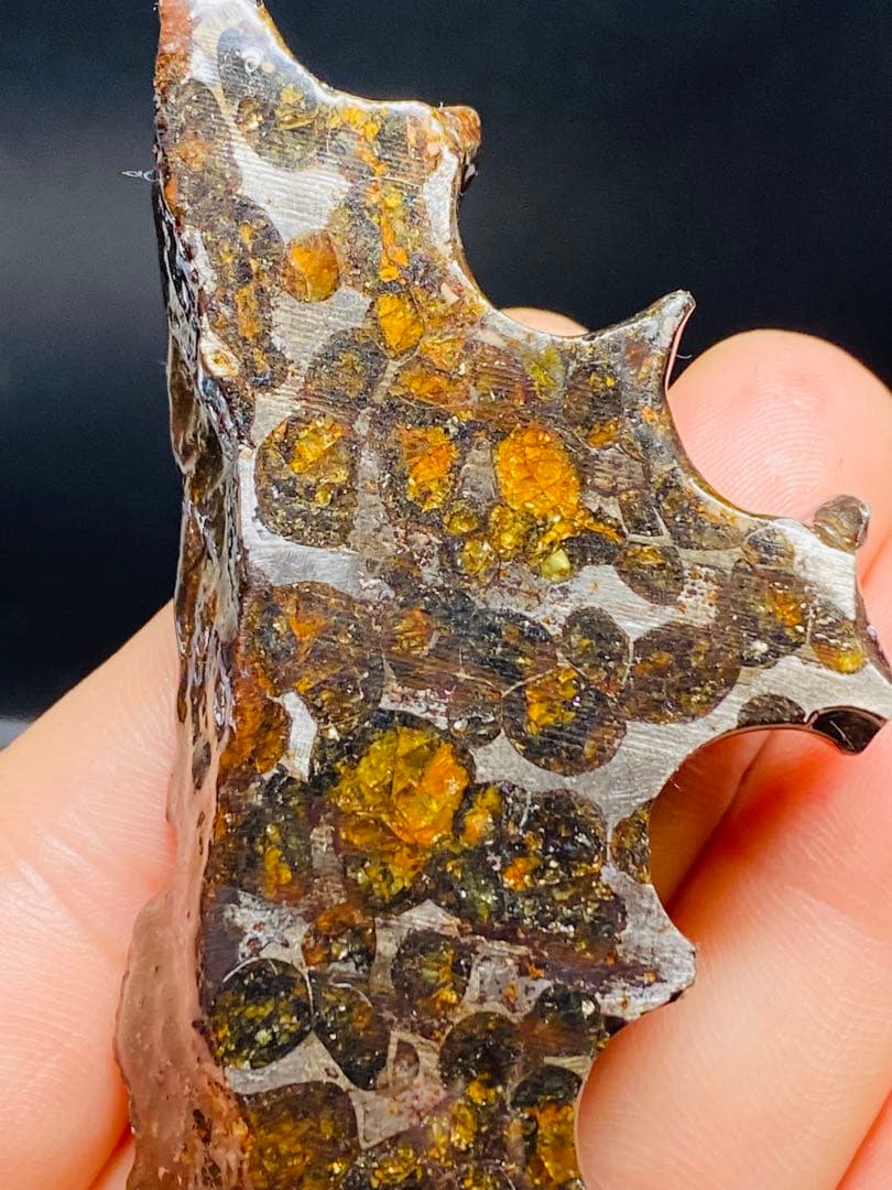 鑑別書付き パラサイト隕石 135g118㍉隕石 鉄隕石 隕石原石 セリコ隕石