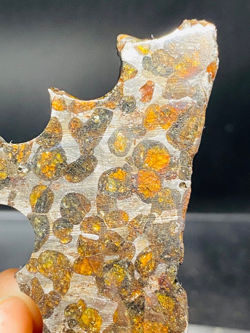 鑑別書付き パラサイト隕石 135g118㍉隕石 鉄隕石 隕石原石 セリコ隕石