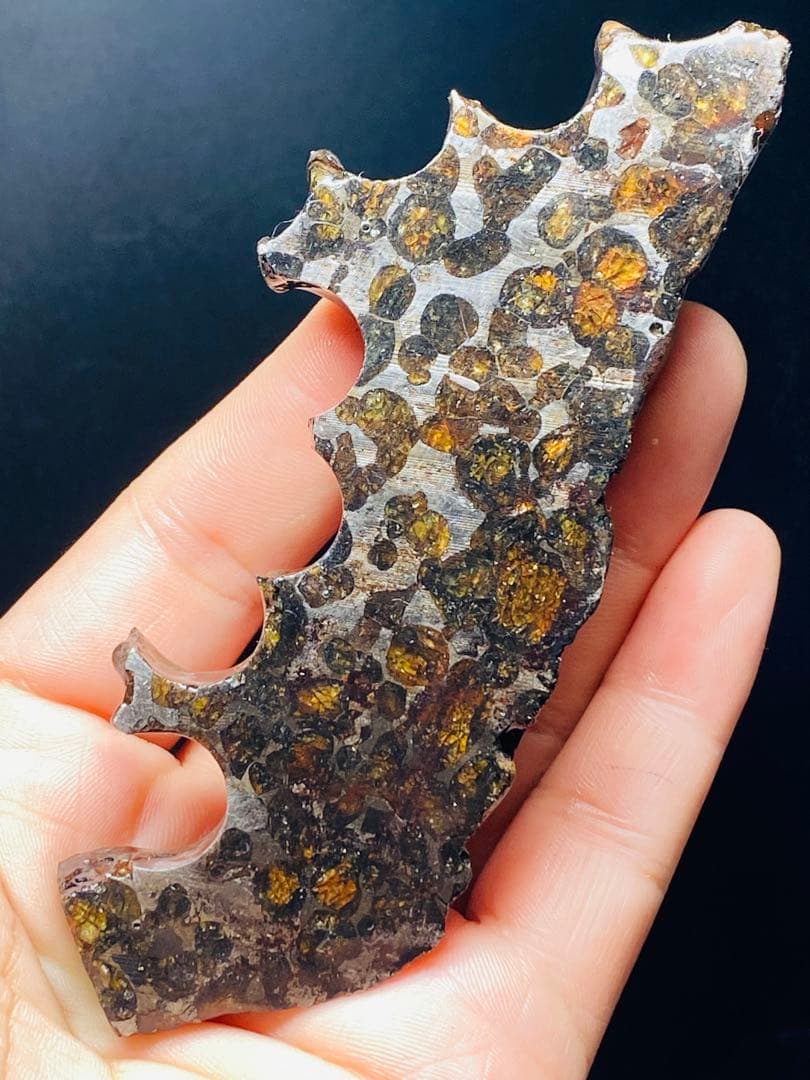 鑑別書付き パラサイト隕石 135g118㍉隕石 鉄隕石 隕石原石 セリコ隕石