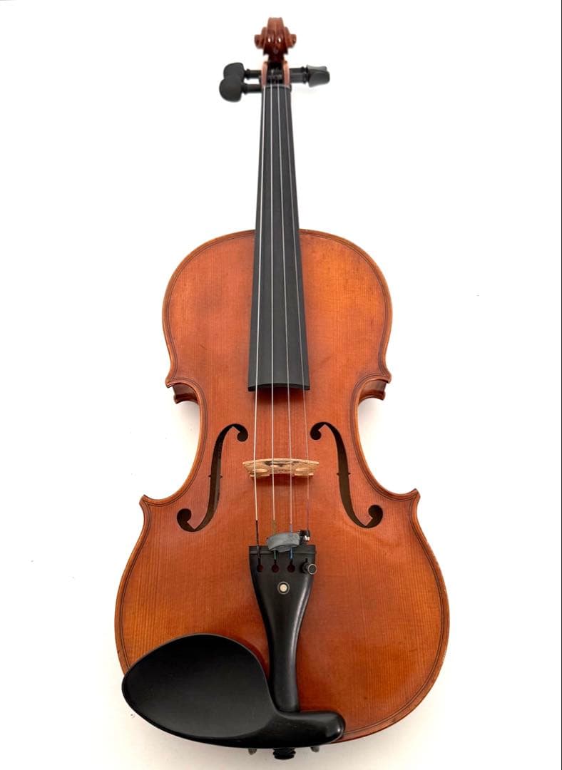 Roderich Paesold 804A 4/4 バイオリン