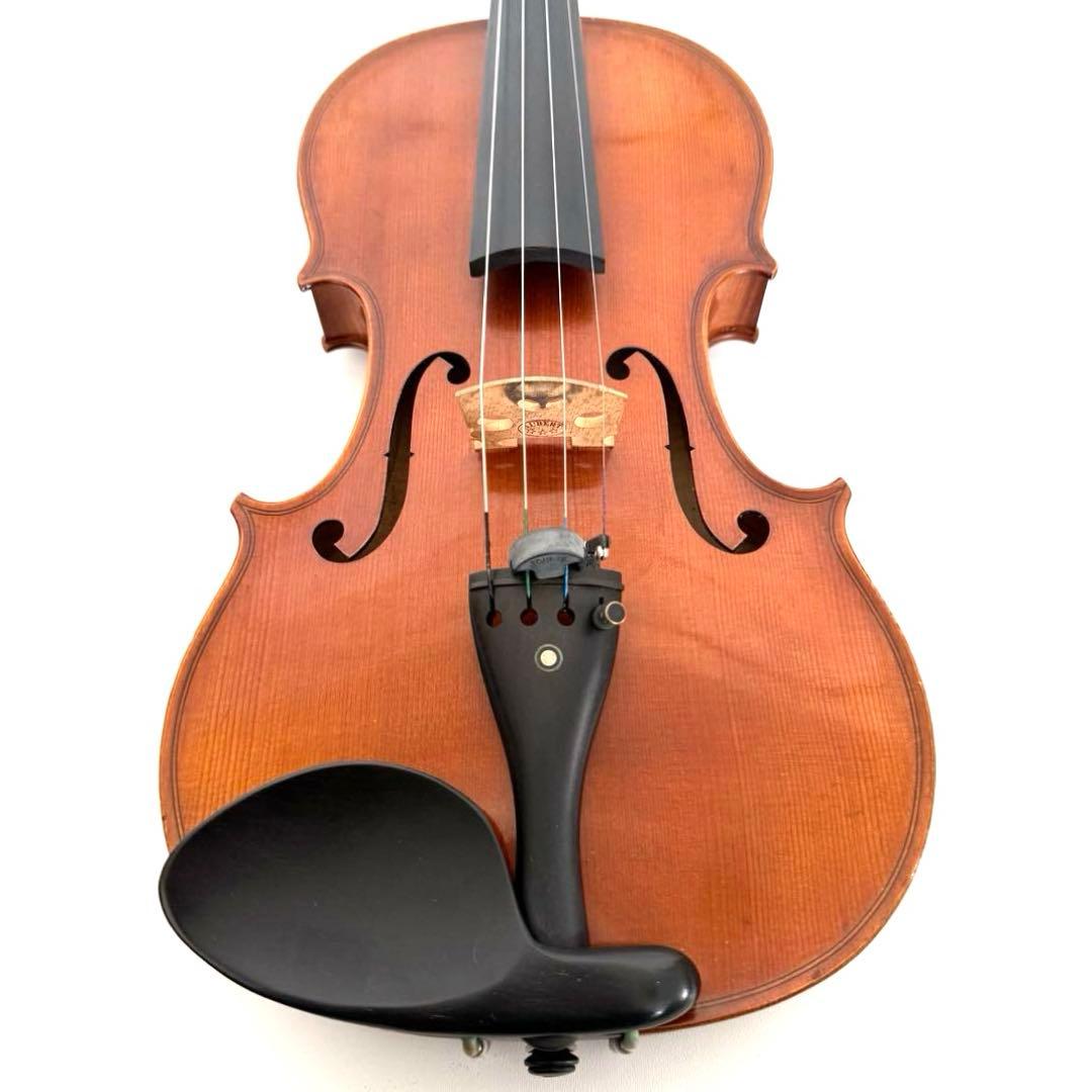 Roderich Paesold 804A 4/4 バイオリン