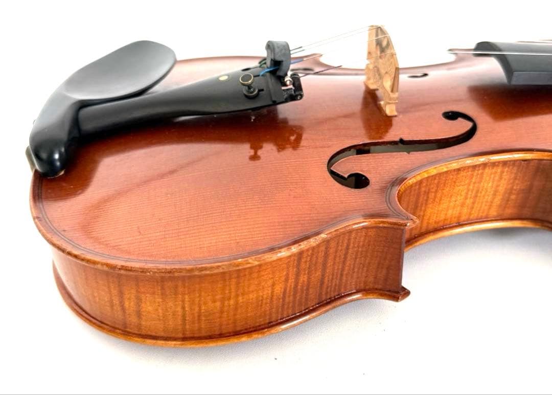 Roderich Paesold 804A 4/4 バイオリン