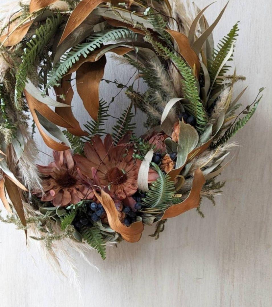 専用感謝sale＊大輪サルフレア＆グレビレア  　ドライフラワーリース