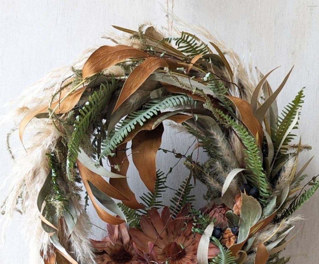 専用感謝sale＊大輪サルフレア＆グレビレア  　ドライフラワーリース