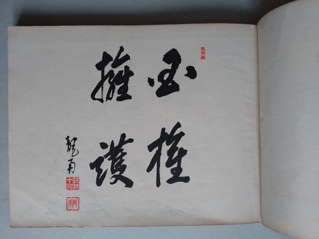 国防写真大観 旧日本軍 満州皇帝 溥儀 鄭孝胥 張景恵 写真帳 海軍 演習
