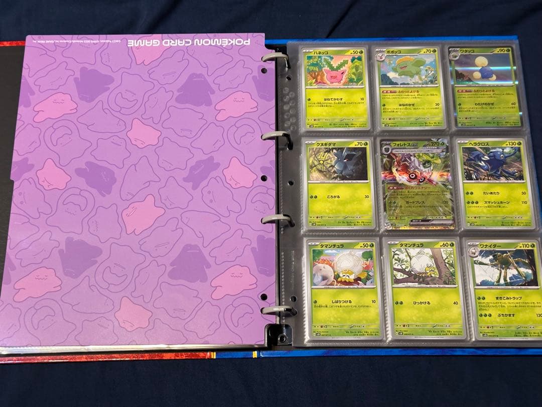 ポケモンカード バインダー まとめ売り コンプリート