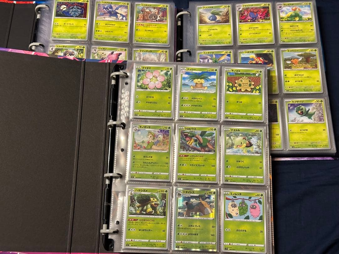 ポケモンカード バインダー まとめ売り コンプリート