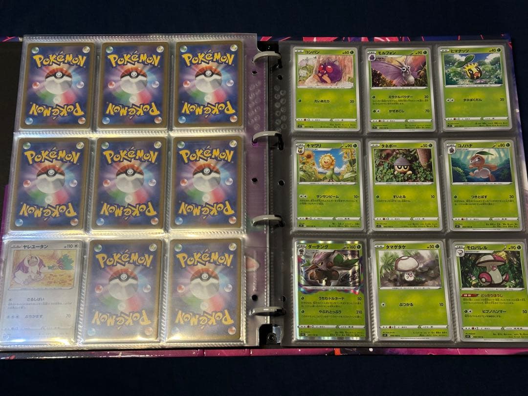 ポケモンカード バインダー まとめ売り コンプリート
