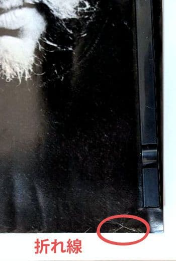 ストラングラーズ 1979年 ザ•レイヴン 貴重 プロモポスター 新品•未使用品