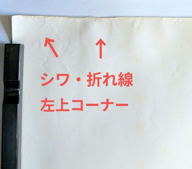 ストラングラーズ 1979年 ザ•レイヴン 貴重 プロモポスター 新品•未使用品