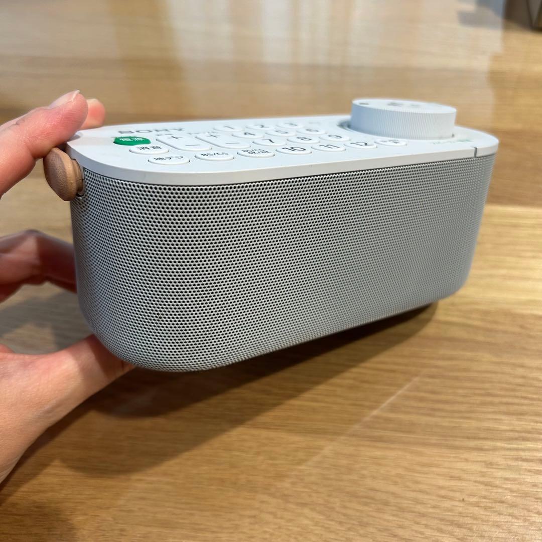 ケイサルヒロ バッテリー交換済 SONY SRS-LSR200