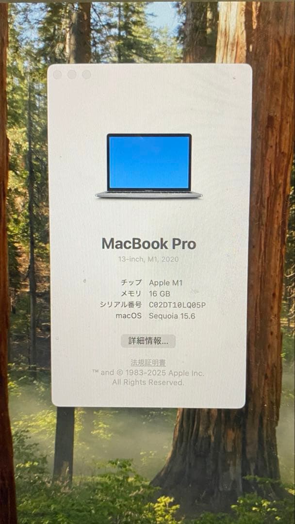MacBook本体 Apple MacBook M1 16GB 512GB