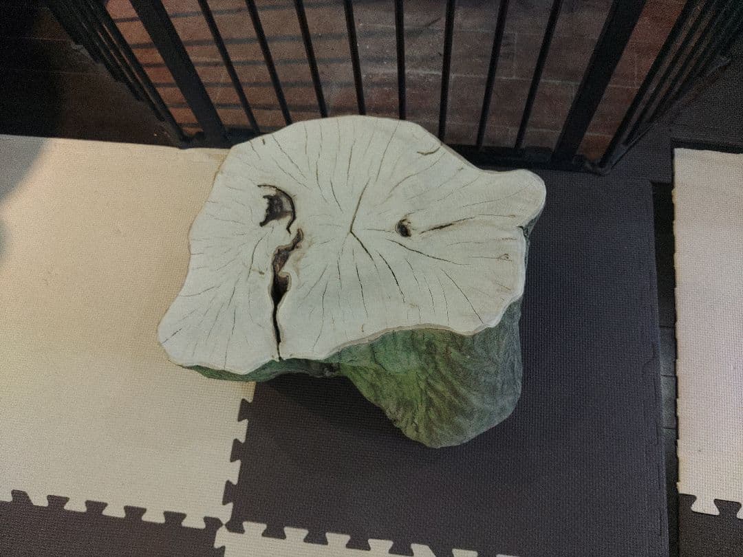 切り株のスツール　樹皮付き