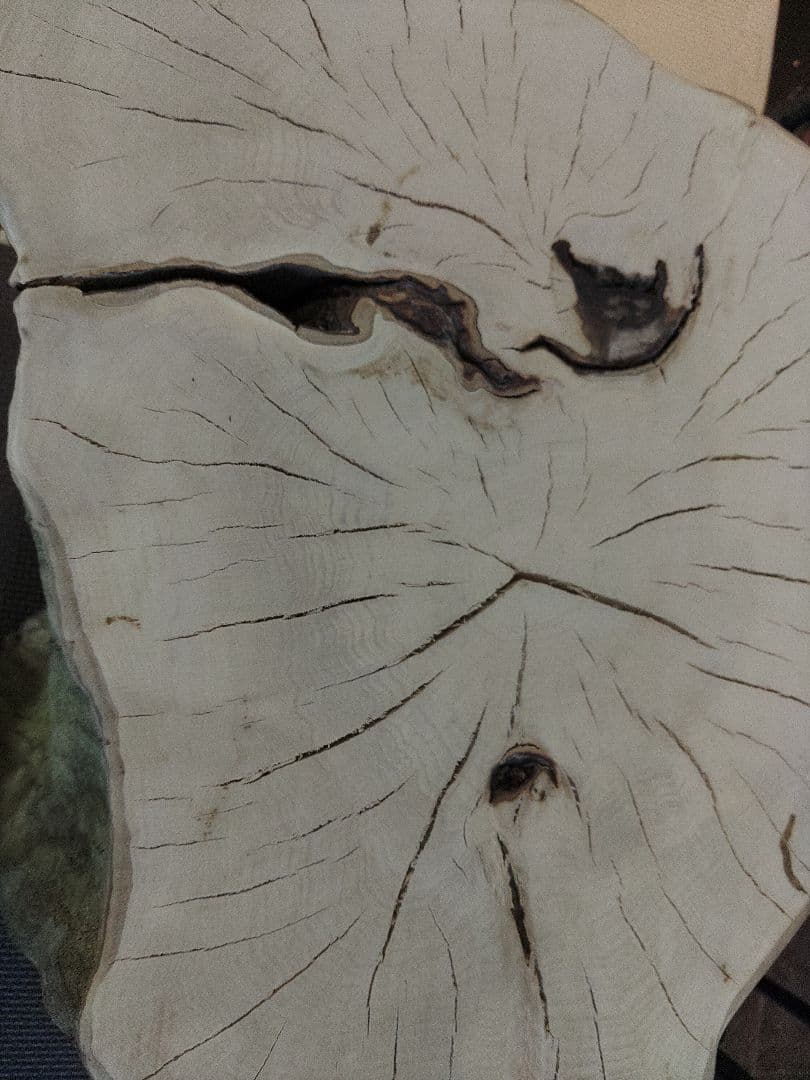 切り株のスツール　樹皮付き