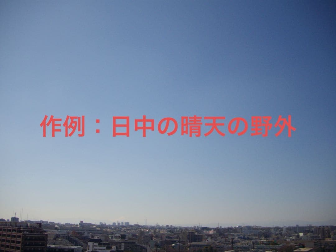 【動作確認済】PENTAX ペンタックス Optio E50 レトロコンデジ