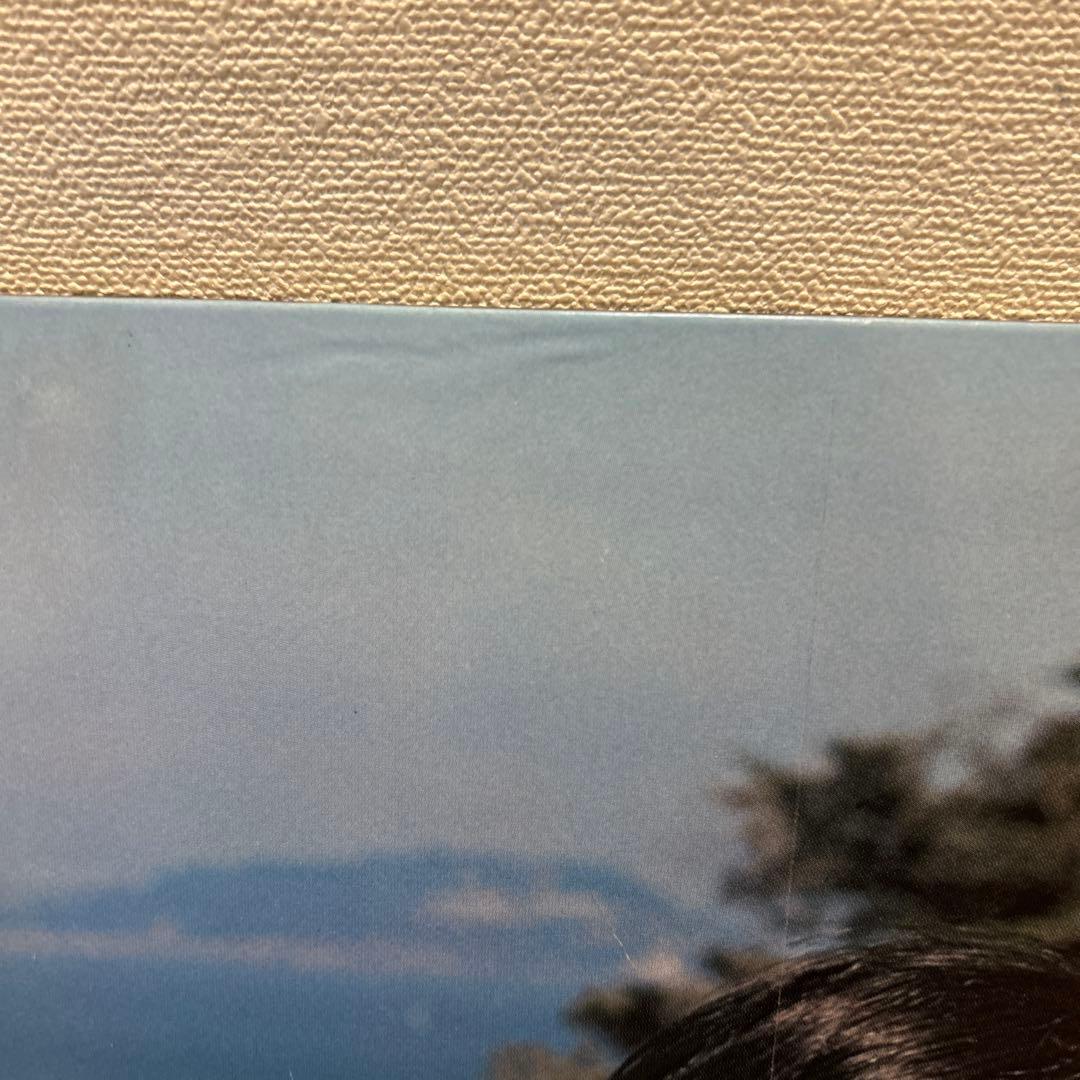 「ふりむけば愛」　山口百恵　三浦友和　大判パネルポスター