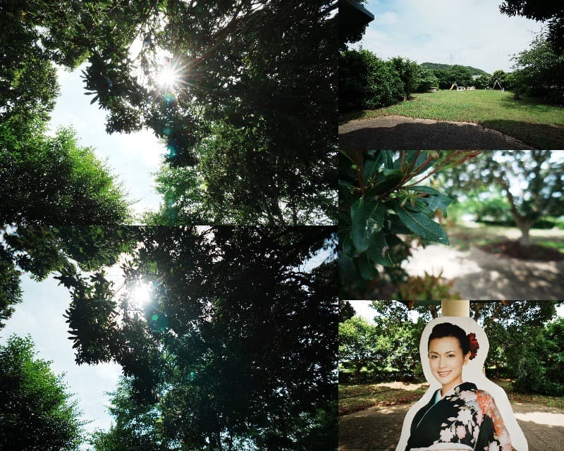 【遊べる】SONY SEL16F28 ワイド＆フィッシュアイコンバーターセット