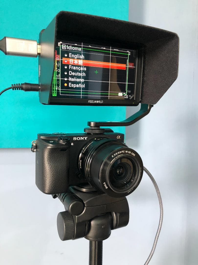 t*t様 Sony a6300 フルセット