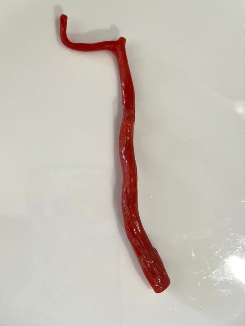 赤珊瑚　枝