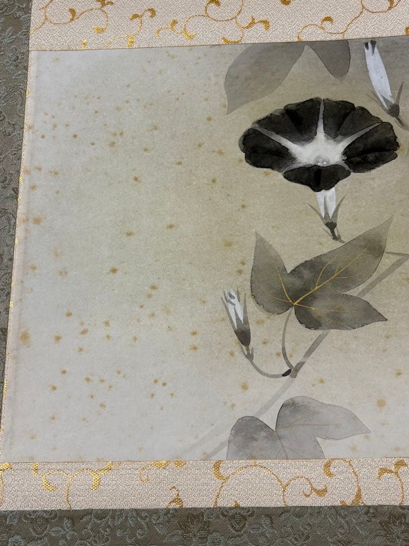 「朝顔」　富田保和　茶道具 掛け軸 掛軸　太巻き　二重箱　共箱あり