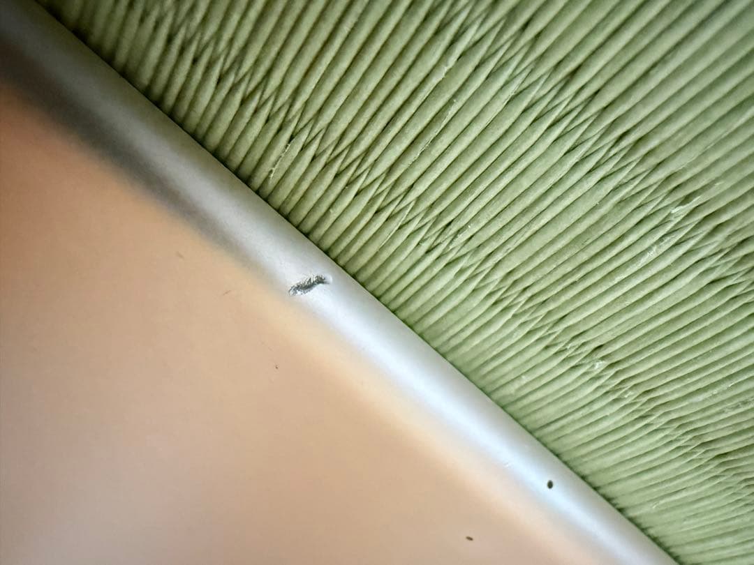 Apple iPad 第6世代　A1893