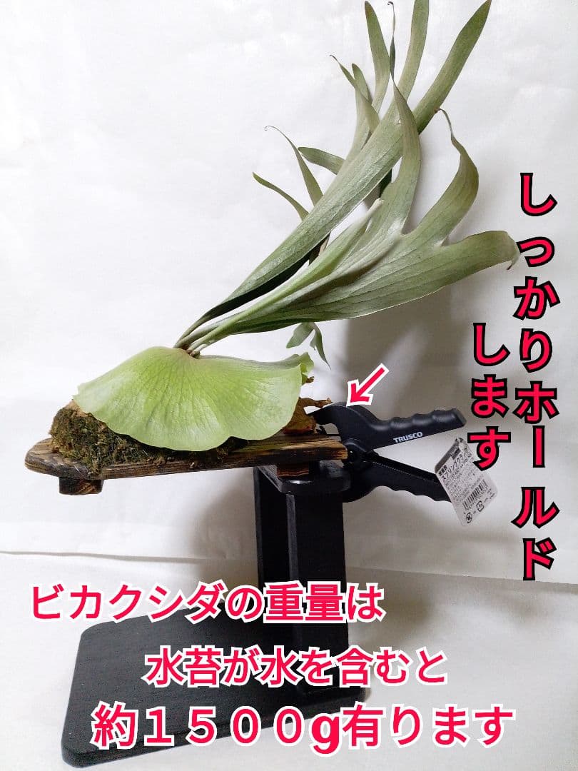 優優です　着性板 4枚プラス作業台