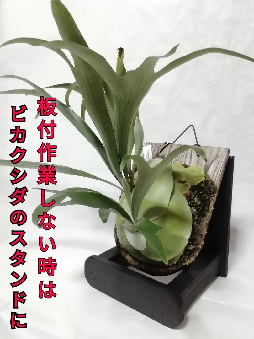 優優です　着性板 4枚プラス作業台