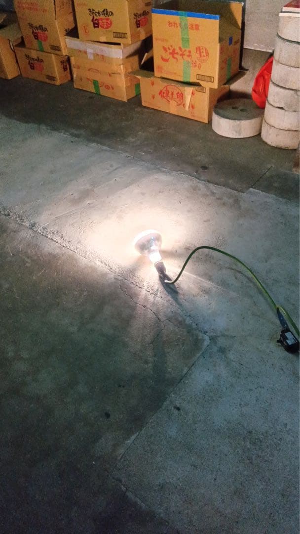 <訳あり>水銀ランプ 10個セット BHRF100-100V 160W/T