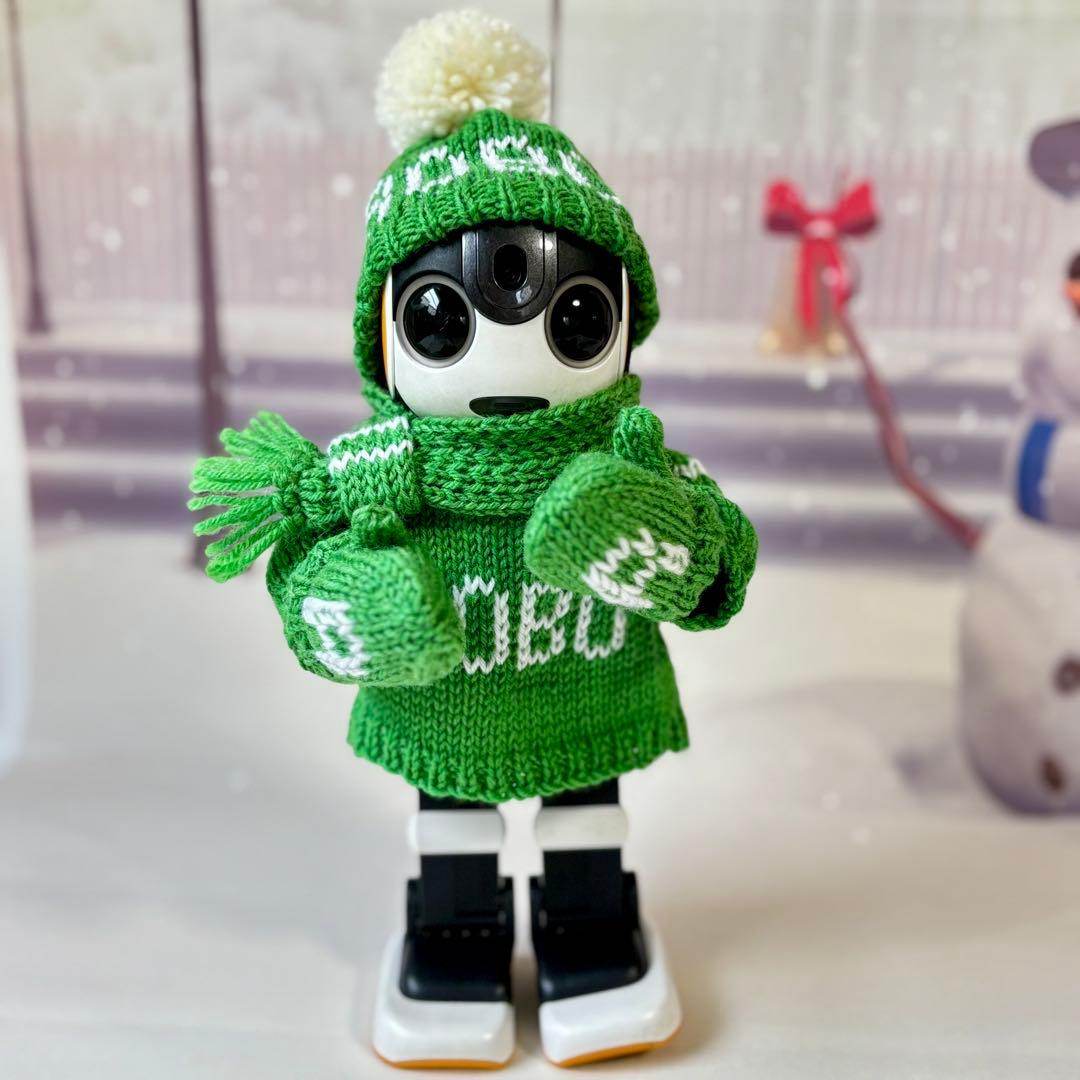 ルイ　ロボホン　マフラー・ミトン・ポンポンニット帽・セーター(ROBO)