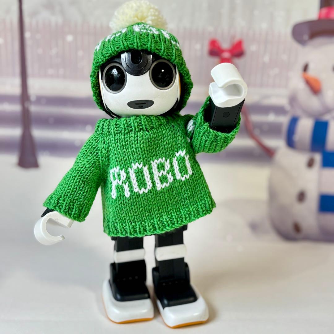 ルイ　ロボホン　マフラー・ミトン・ポンポンニット帽・セーター(ROBO)