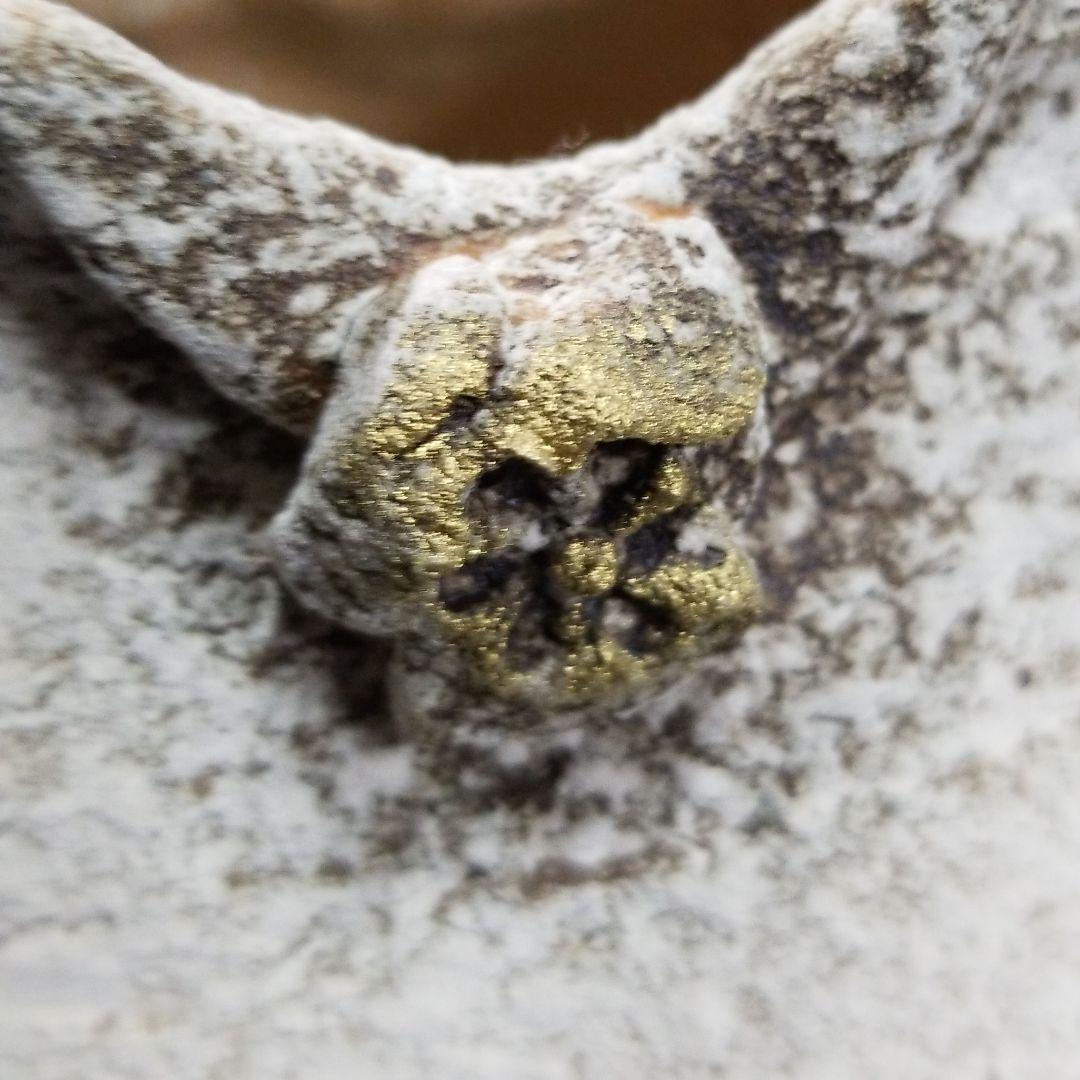 信楽焼 花瓶 花入れ 金紋  高さ２９cm